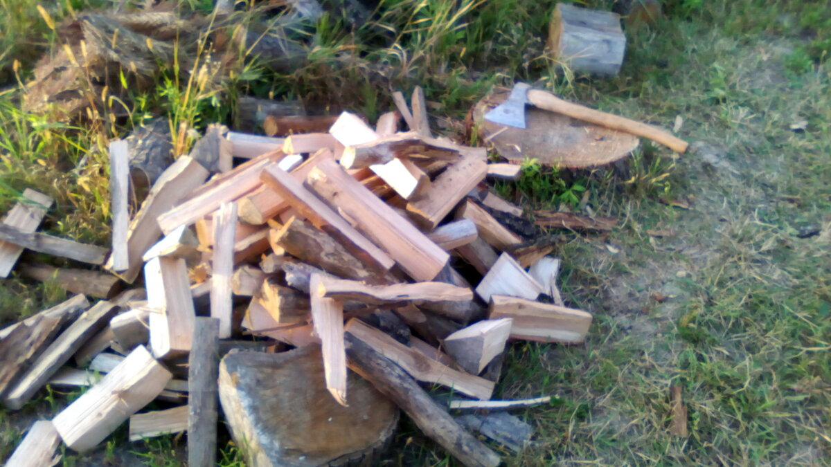 Куча дров после рубки