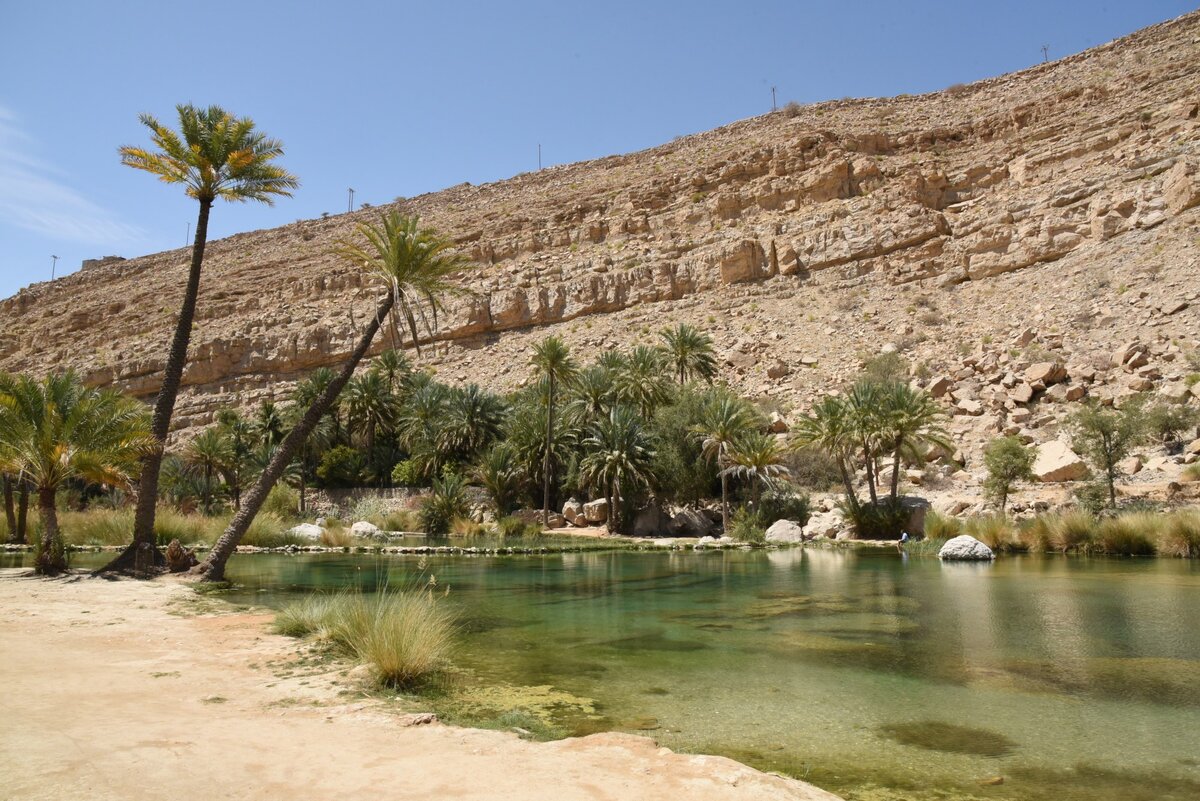 Оазис убари ливия. Эль-байда (ливия). Оазис умм аль хысан ливия. Пустыня оман оазис. Оазис оман.