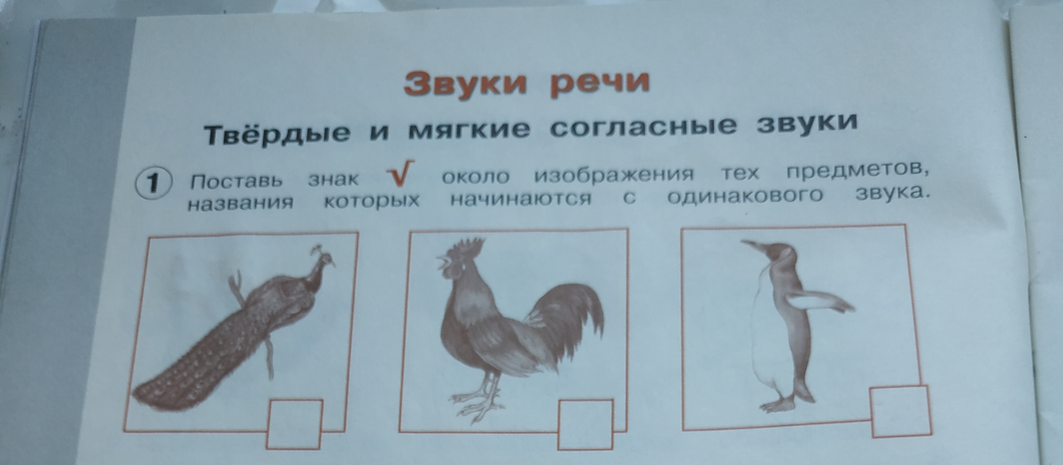 Пингвин звуковая схема