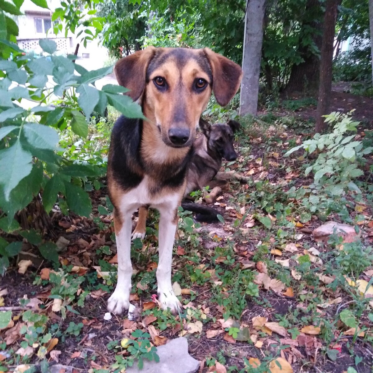 Ксюша, а сзади Кирюша