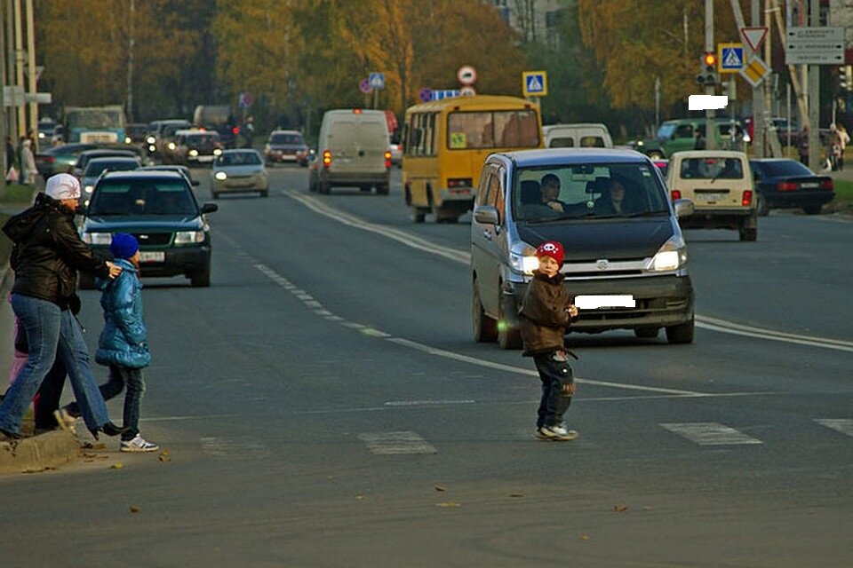 Почему водитель не может внезапно остановить автомашину перед перебегающим дорогу человеком