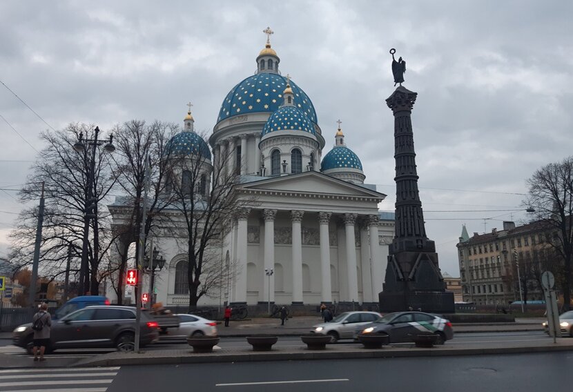 Самое забавное растение Ботанического сада