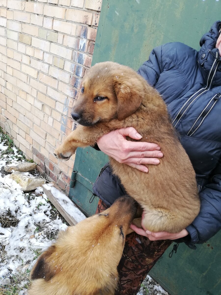 Мальчик

