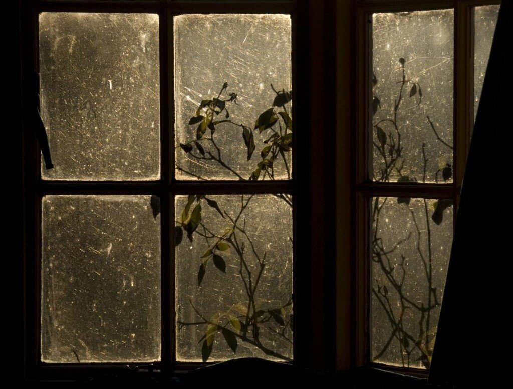 фото из интернета.