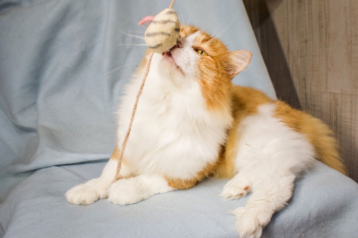 Таким он стал