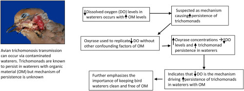 The Sourse: sciencedirect.com/science/article/pii/S2213224419300070