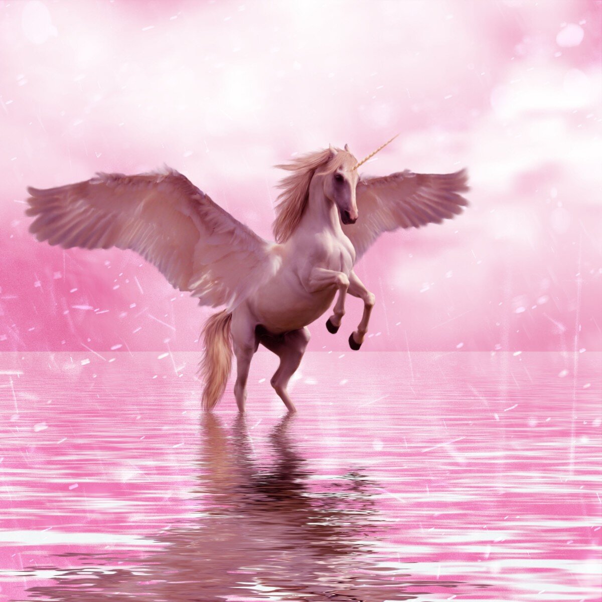 https://c.pxhere.com/images/6a/ed/d47da3ddce4685121c231dbc1386-1447997.jpg!d
