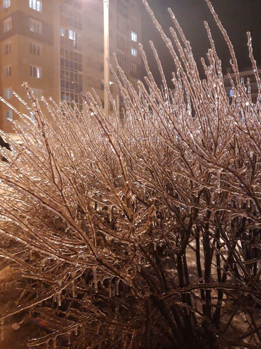 24 декабрядекабря 2019 год. г. Чебоксары