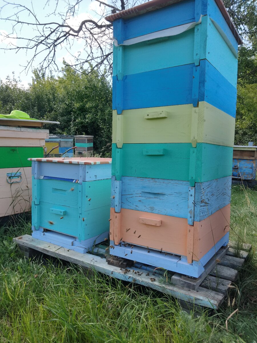 Вот они, стоят рядом, улья с патронами разных систем. И нисколько не мешают друг другу.