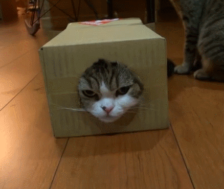 Gif с сайта ochepyatki.ru