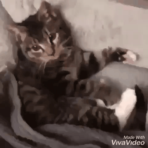 Маленький еще...