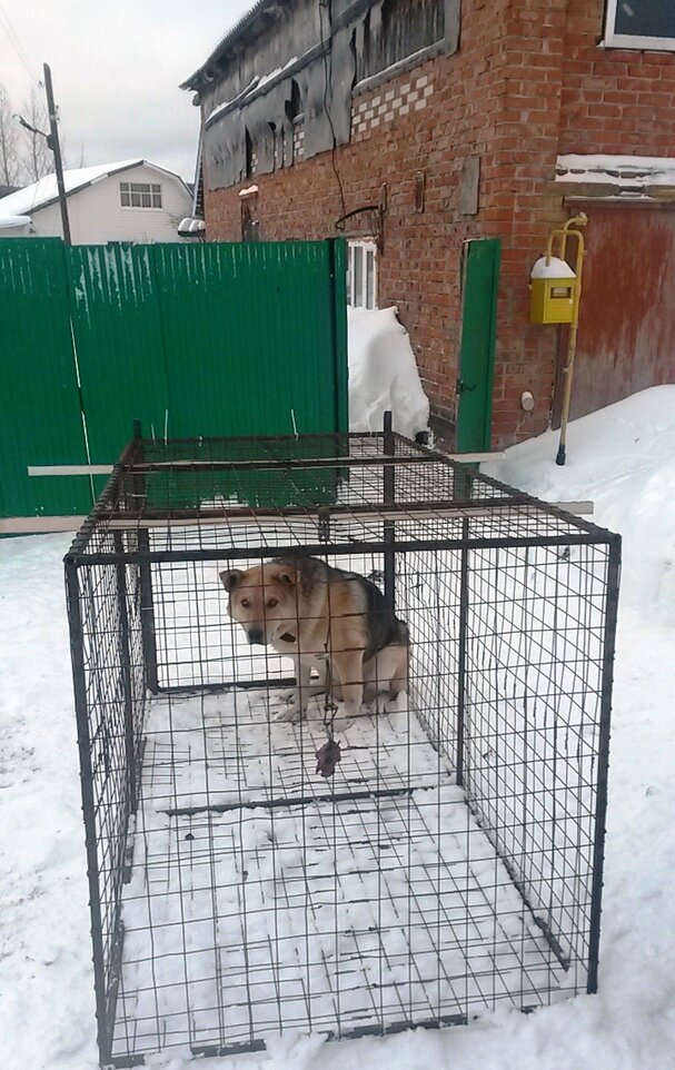 Я никого не боюсь и мне никто не нужен!