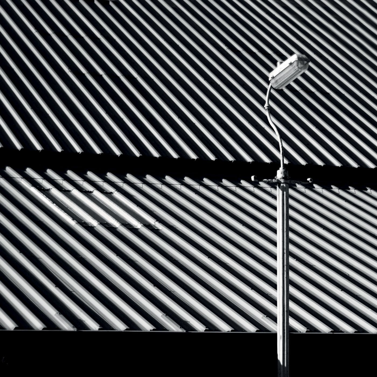 Craven Faults – Erratics & Unconformities (Leaf, 2020)