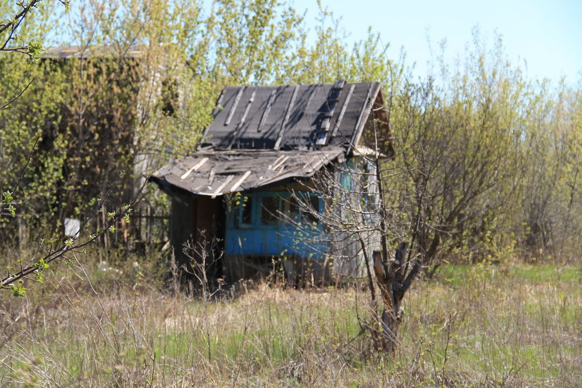 Участок 400. Заброшенная дача. Заброшенный дачный участок. Брошенный участок. Старая заброшенная дача.