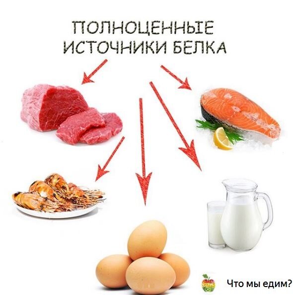 Продукты полноценного белка. Источники полноценных белков. Полноценные белки содержатся. Продукты полноценный белков. Продукты источники полноценных белков.