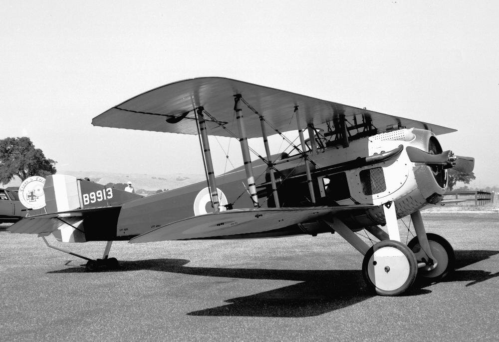 Фото из открытых источников.