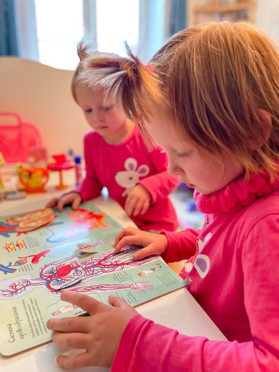 Изучаем тело человека.