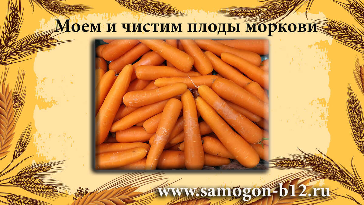 Простой рецепт вкусного вина из моркови🥕 | Самогонъ-Б12 | Дзен