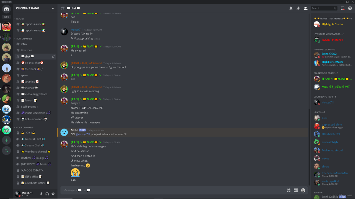 28. Как зарабатывать в дискорде? 