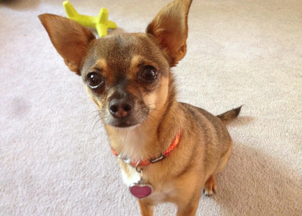 Источник krasivosti.pro