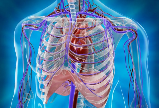 Добавьте описание