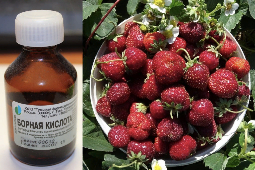 источник https://clck.ru/hBy27