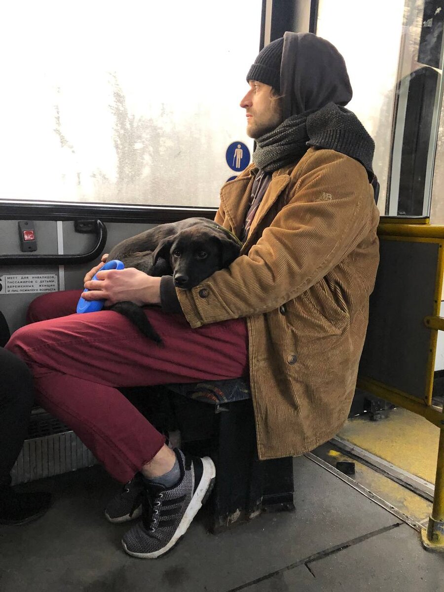 Дорога домой.. в автобусе Фрис вела себя спокойно 