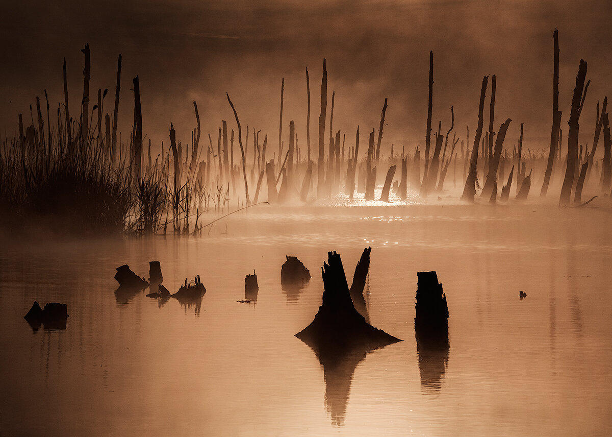 Изображение взято из Яндекс.Картинок