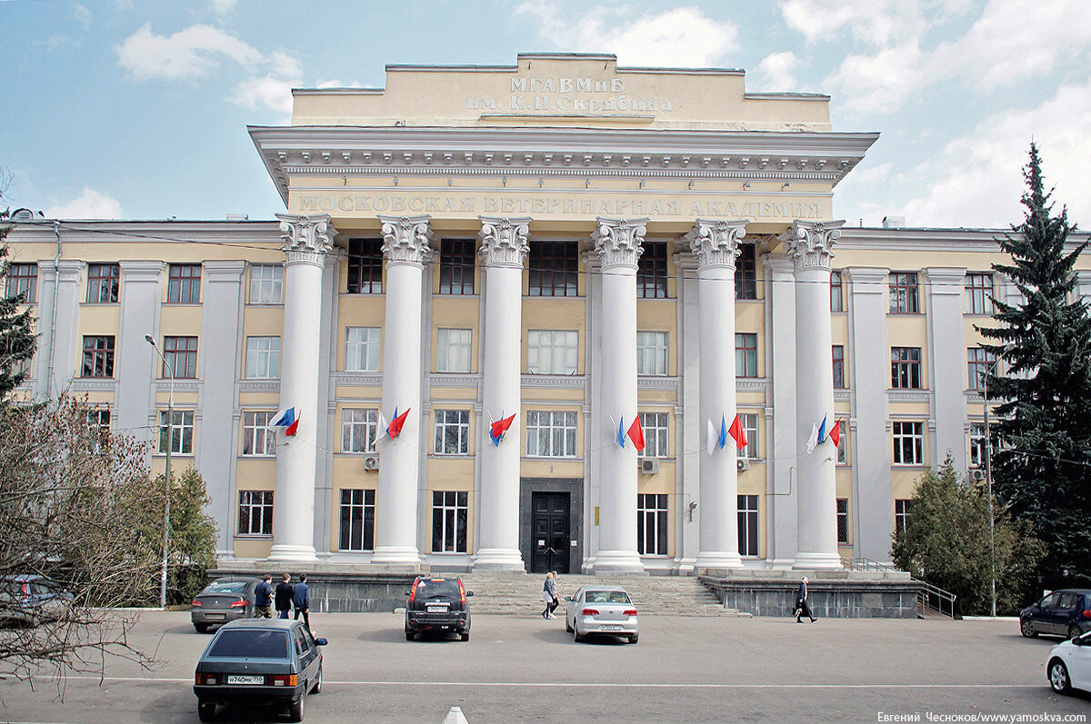 Академия город московский. Академия Скрябина. Московская государственная Академия Скрябина. Ветеринарный институт Скрябина. Московская ветеринарная Академия.