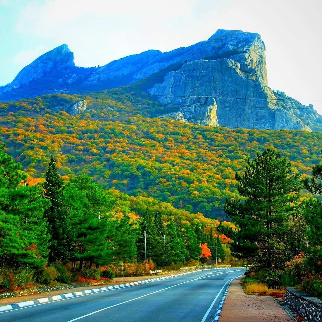 #стихиодороге 