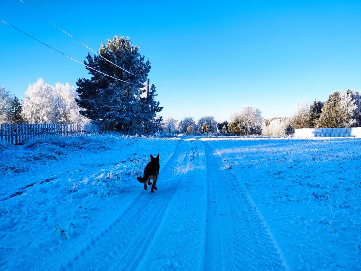 Неприлично красивая зима на даче | Провинциальный дневник | Дзен