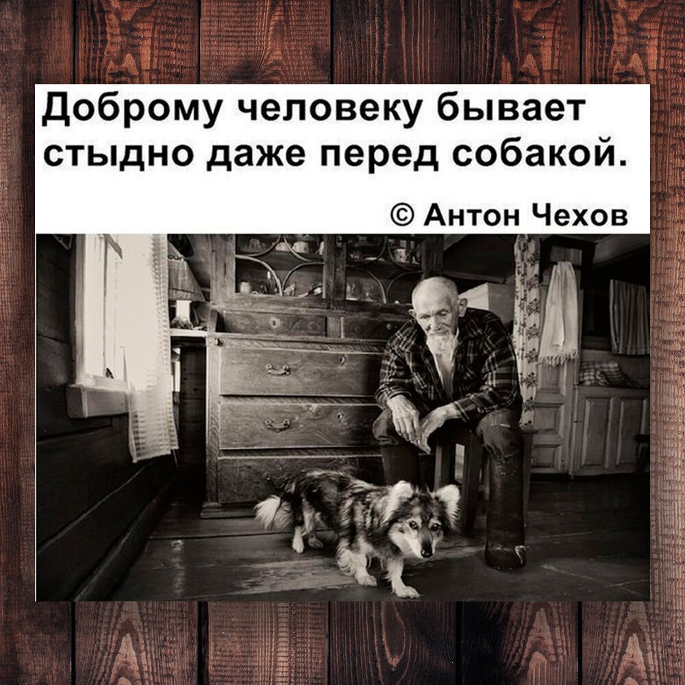 Рассказ это все что ты заслужила. Доброму человеку бывает стыдно даже перед собакой. Доброму человеку и перед собакой стыдно. Доброму человеку бывает стыдно даже перед собакой картинки.