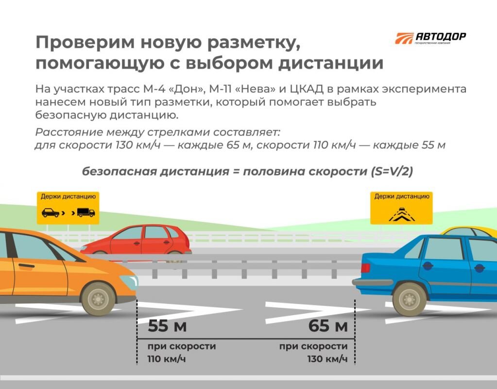 Экспериментальная разметка появится на трассе М-4 «Дон» в Воронежской  области | МОЁ! Online. Воронеж | Дзен