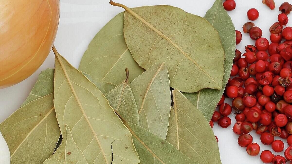    Лавровый лист© Globallookpress / Katharina Hild