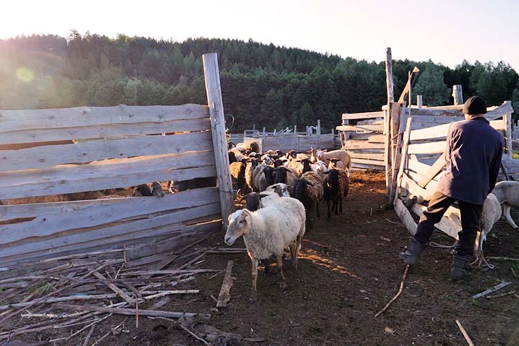    «Сельское хозяйство стало новой отраслью, где было ощущение чего-то очень важного, что может в целом поменять отрасль»