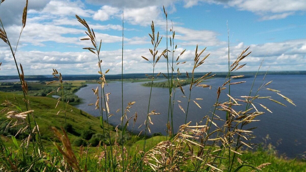     Жители Арского района пожаловались местным властям на загрязнение реки Казанка молочными стоками с комбината «Арча». Об этом сообщила пресс-служба министерства экологии и природных ресурсов Татарстана.