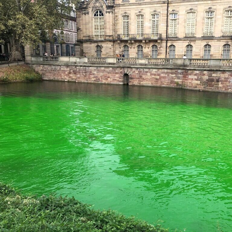    Последствия акции экологов из организации Extinction Rebellion /  © X