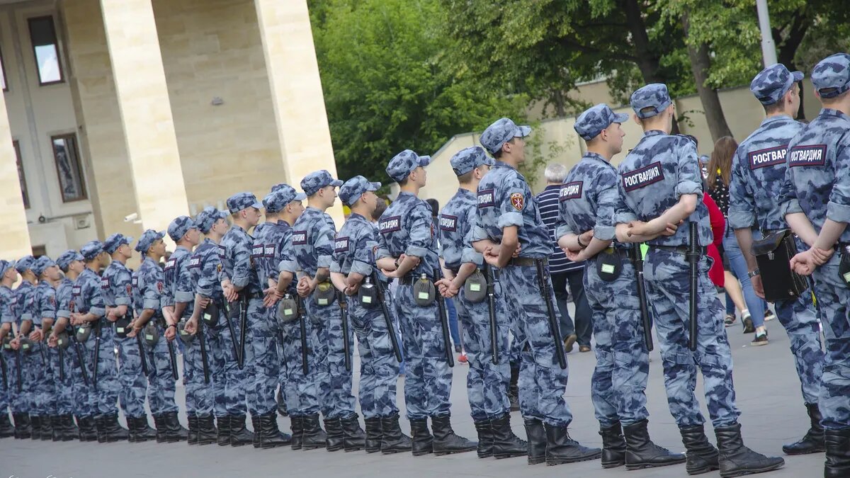 Фото: Сергей Коровкин / Википедия