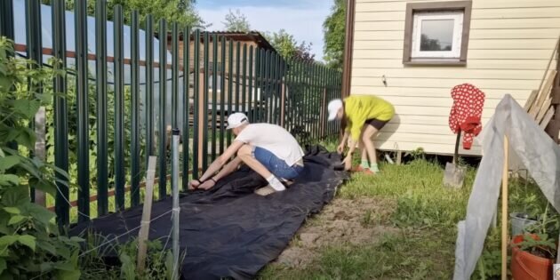 Участок будет выглядеть аккуратнее, а ухаживать за растениями станет проще.-12