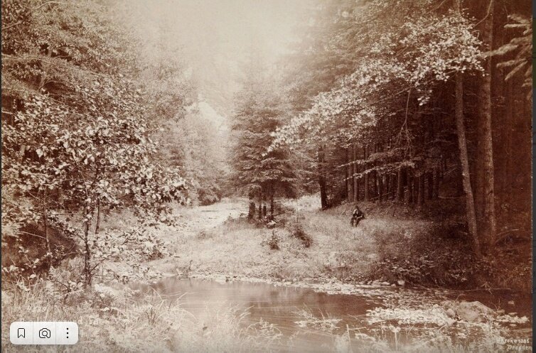 Герман Кроне, «Паулиненгрунд» (1885)