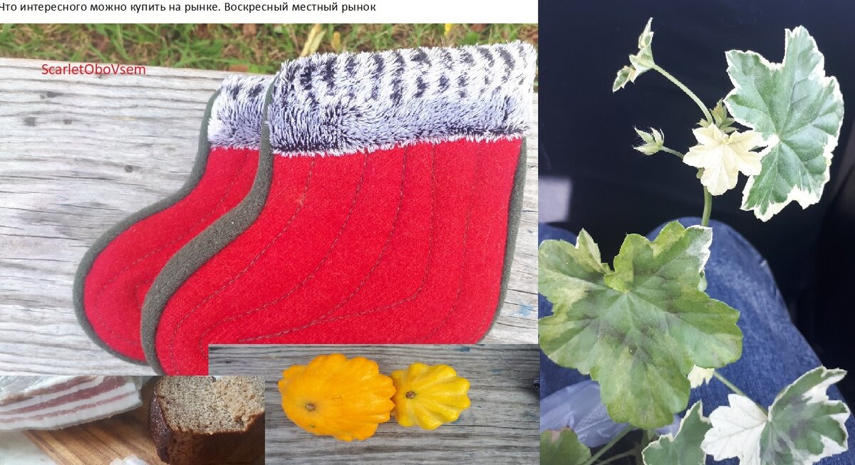 Моя добыча с местного рынка