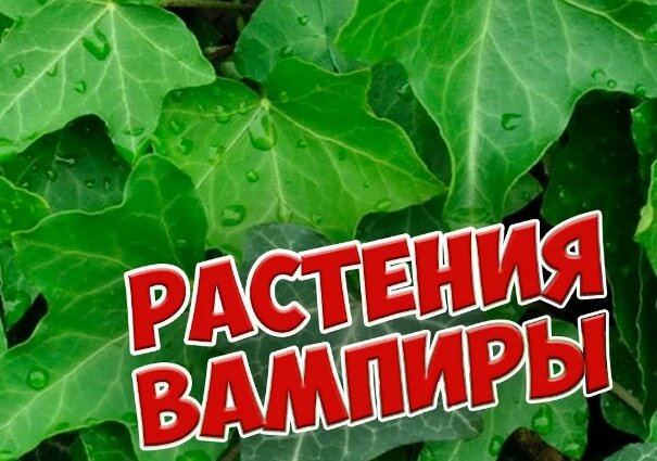 Источник яндекс картинки