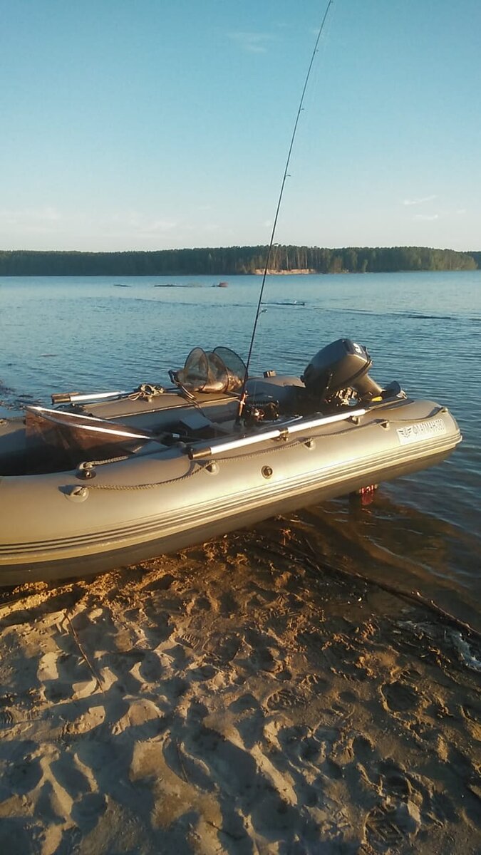 Рабочая лошадка