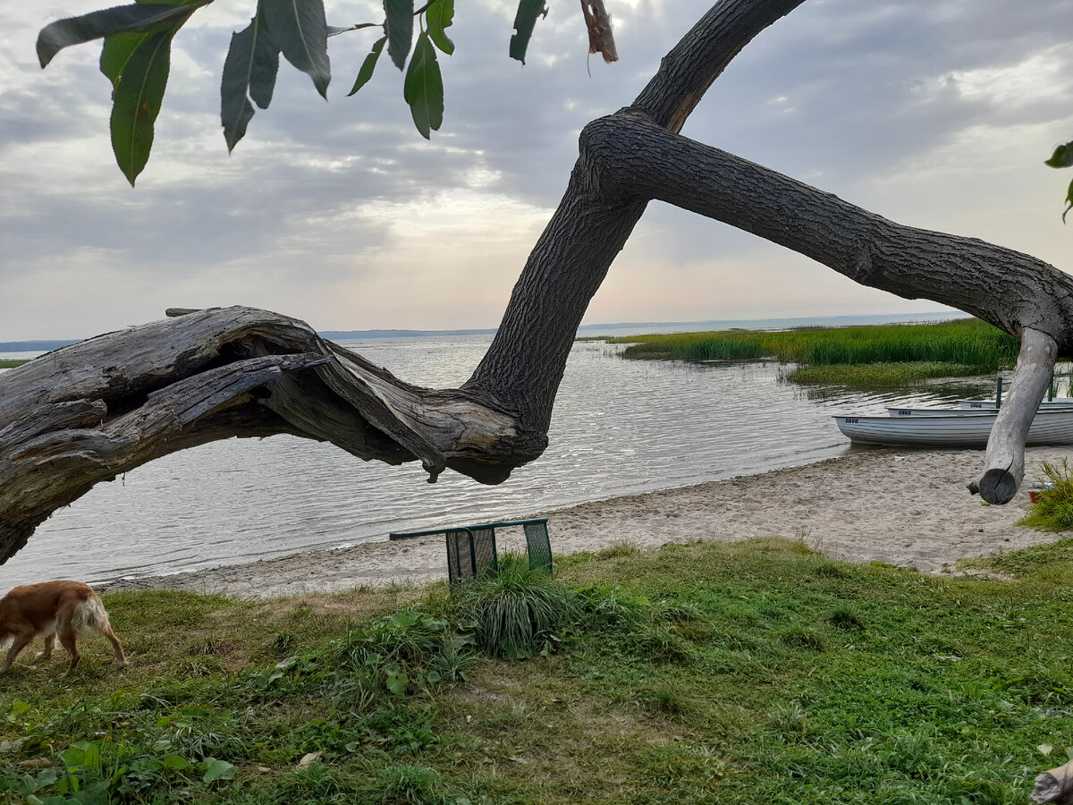 Берег Плещеева озера. Фотки мои:)