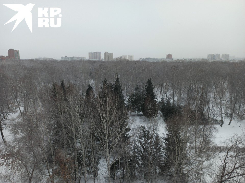    Вдаль на несколько километров тянется дымка. Никита МАНЬКО