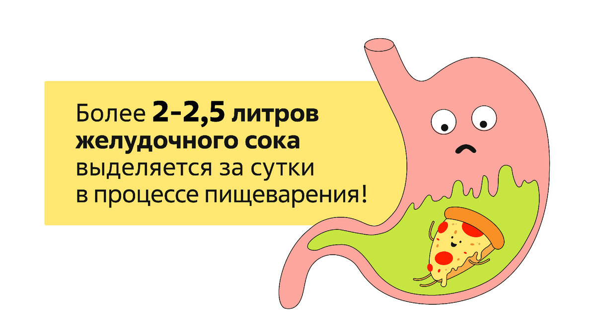 Тест на голодный желудок делают. Как заставить желудок работать. Скрутило желудок что делать. Засорился желудок что делать.