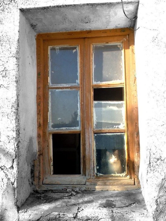     freeimages.com