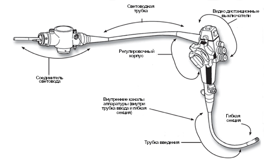Подключение эндоскопа к компьютеру А эндоскопы стерильны? Обработка аппаратуры и инструментов к ним Дневник эндоско