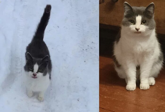 Листайте вправо, чтобы увидеть больше изображений