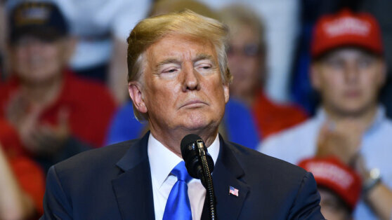    Трамп пообещал урегулировать конфликт на Украине за 24 часа Татьяна Сидорова